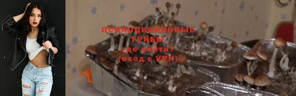 гидра Медвежьегорск
