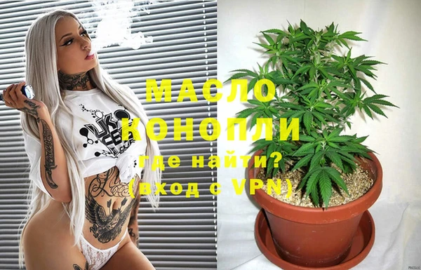 МДПВ Михайлов