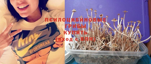 МДПВ Михайлов