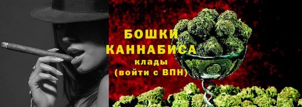 гидра Медвежьегорск